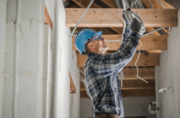Best Electrical Repair Services  in Brownsville, KY